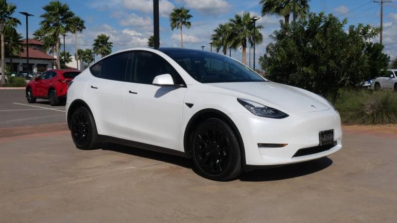 TESLA MODEL Y 2021 5YJYGDEE3MF231251 image